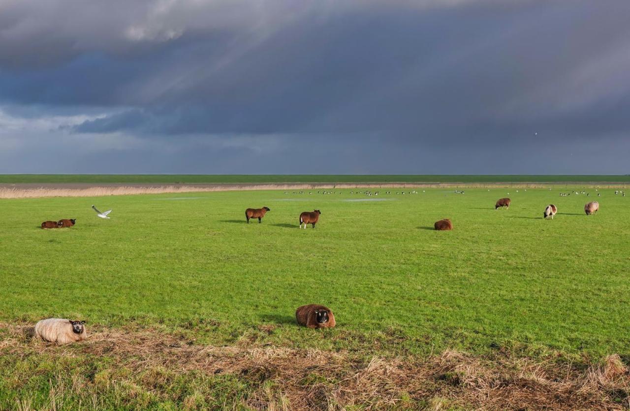 Schierzicht Logement Lauwersoog Luaran gambar