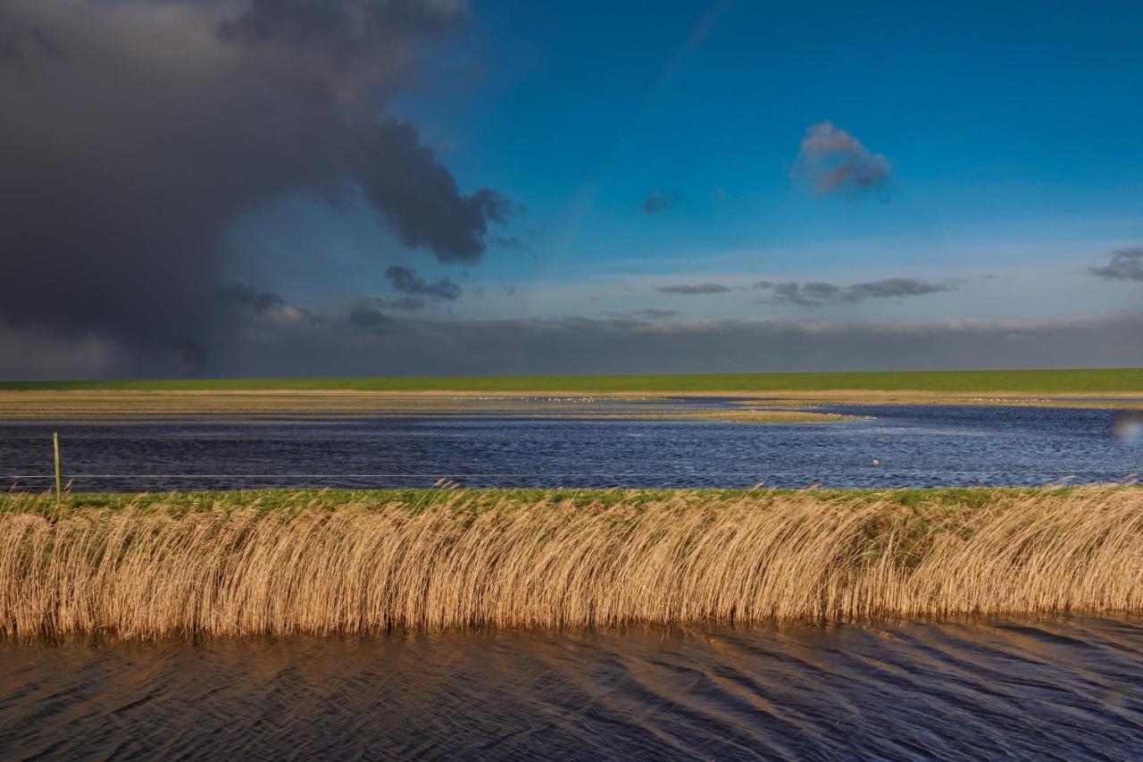 Schierzicht Logement Lauwersoog Luaran gambar